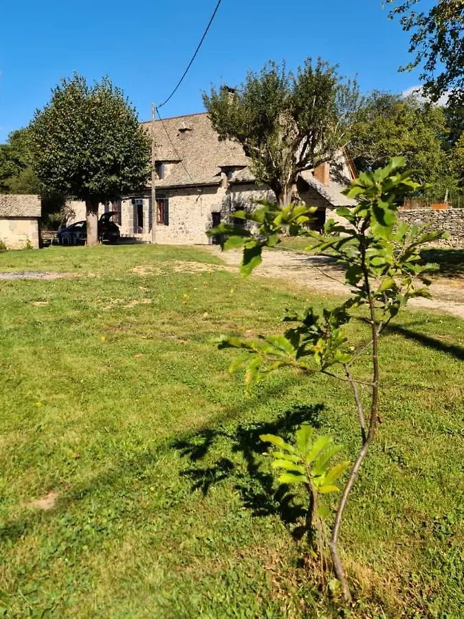 Maison Typique Auvergnate, Piscine Et Four A Pain Saint-Christophe-Les-Gorges 0*,